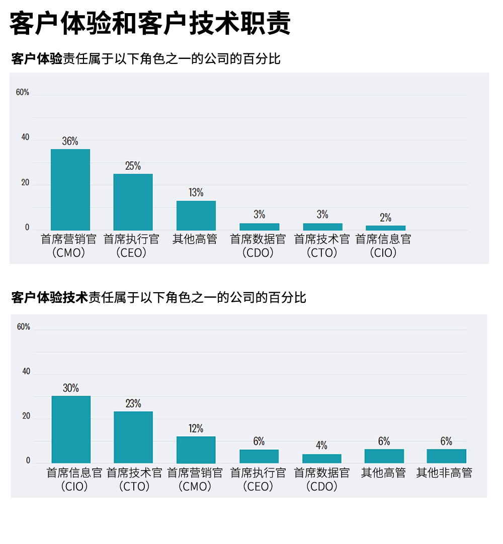 客户体验和客户技术职责