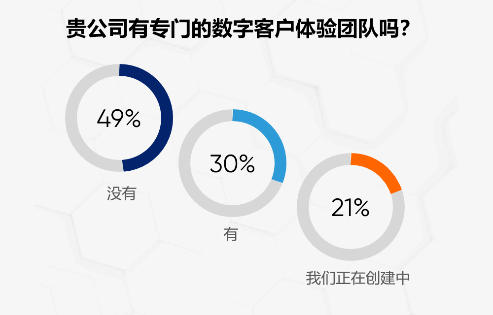 49%的受访者没有专门的数字客户体验团队