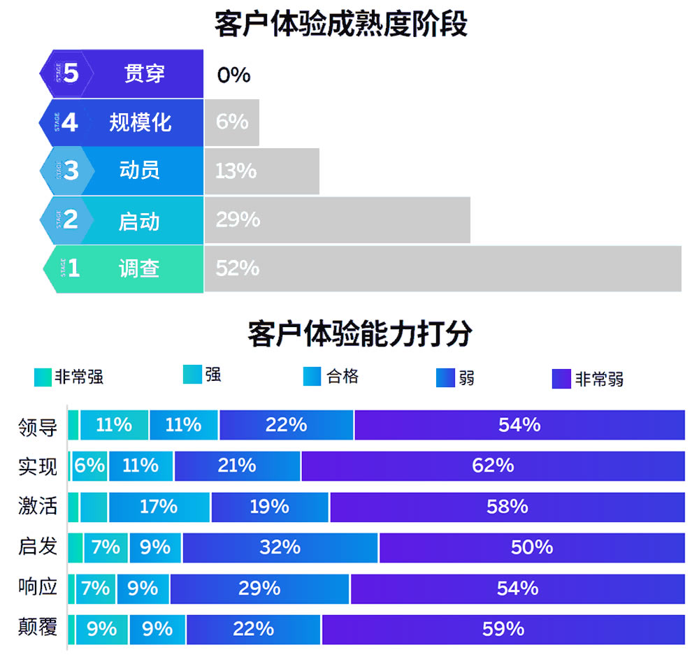 客户体验能力和成熟度结果