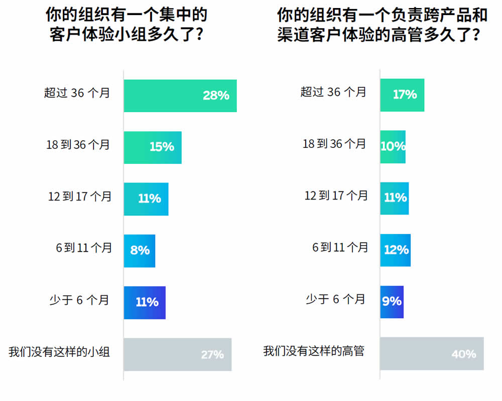 集中的客户体验团队和领导