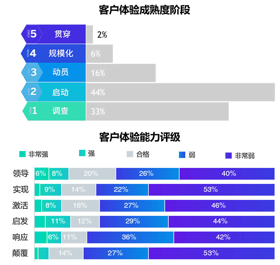 客户体验能力和成熟度结果