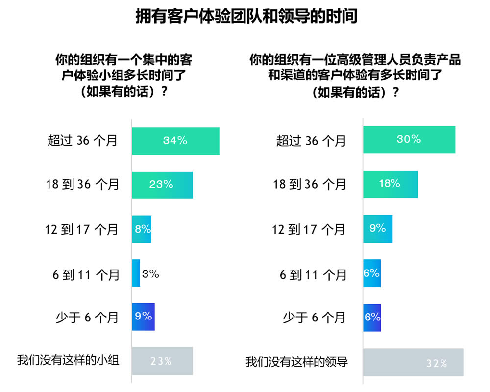 集中的客户体验团队和领导