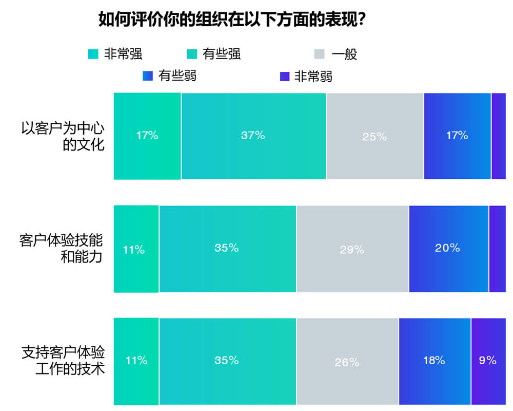 评估客户体验技术能力和文化