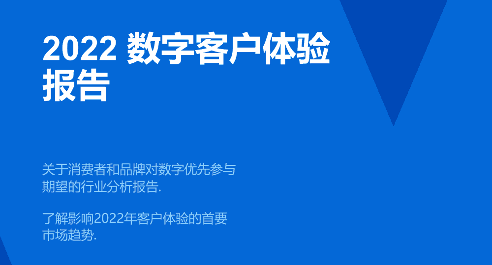 2022 数字客户体验报告