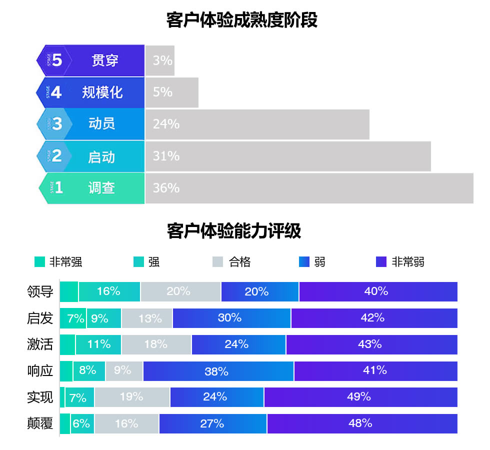 客户体验能力和成熟度结果