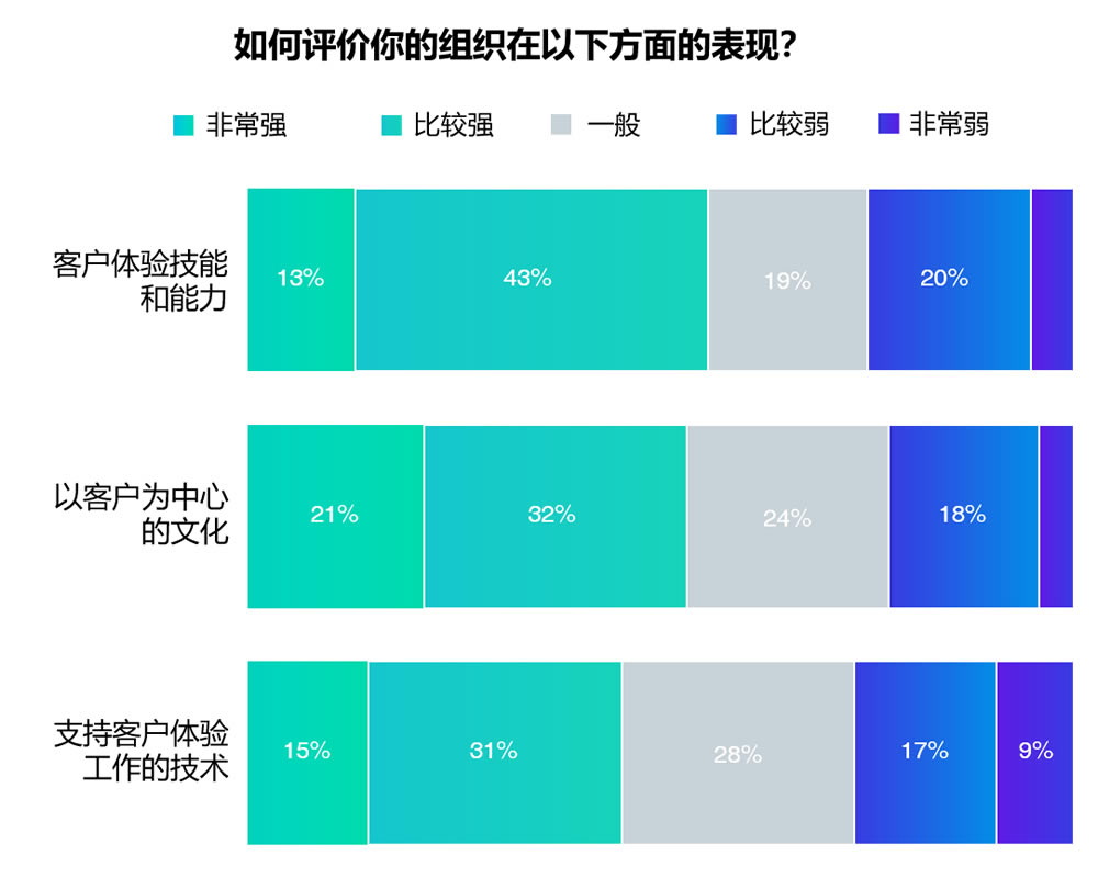 评估客户体验技术能力和文化