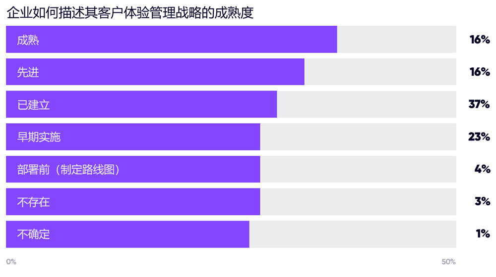 2025年企业如何描述其客户体验管理战略的成熟度