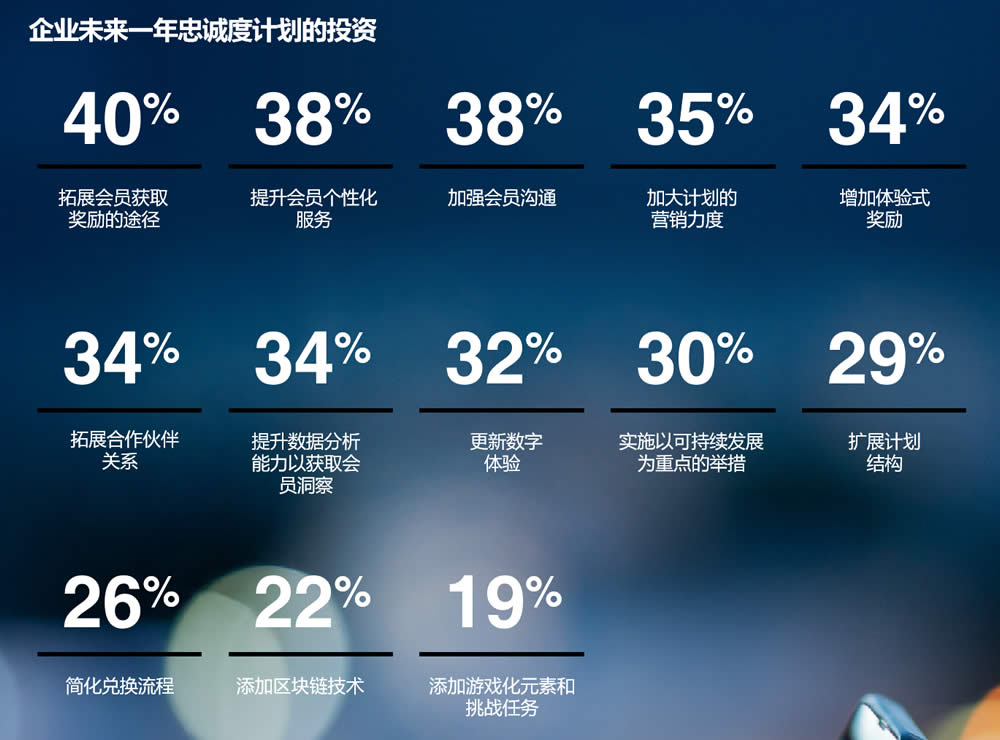 企业未来一年忠诚度计划的投资